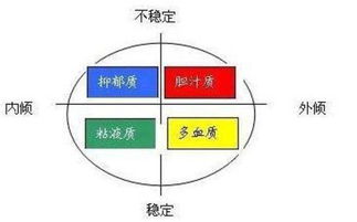 心理学中人的四种气质类型,来测试你是什么气质吧 