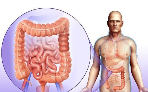 胃溃疡和胃糜烂的区别 糜烂性胃炎，萎缩性胃炎，胃溃疡，哪个好治？区别是什么？ 