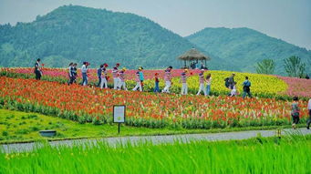 2.7万人 第十五届中国国际动漫节径山花海分会场活动杠杠地