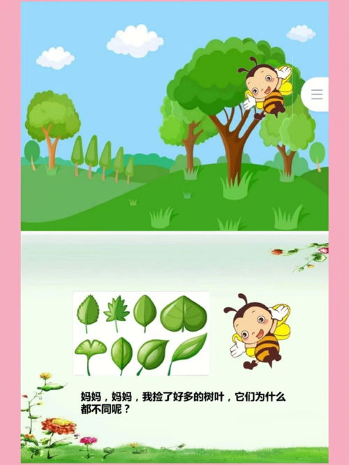 幼儿园公开课,中班科学 神奇的叶子 