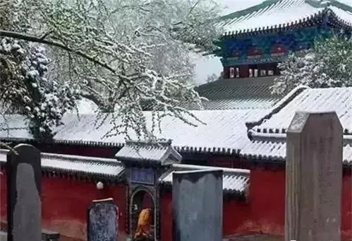 中国这15个地方的雪后容貌,美到窒息,你去过几个呢