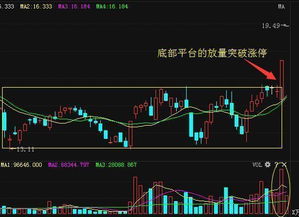 600210收市涨停，我是今天下午买进的，明后几天该怎么操作?