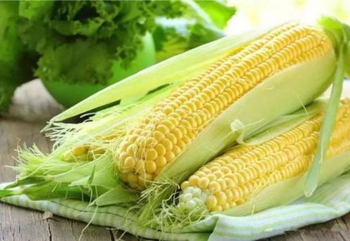 都是玉米,黄色的和彩色的有什么不同 吃了30年的玉米才知道