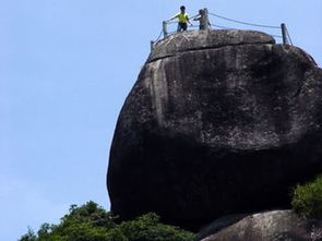 福建龙岩王寿山