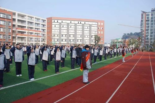 为何重本会有附属中学 和普通中学区别是什么 学生需要提前了解