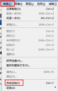 用磁性套索工具选中图形后怎样把图提出来