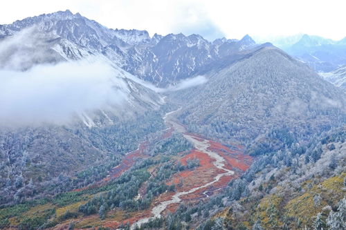 川西线 自驾游不容错过的环线,去感受异地别样的风景