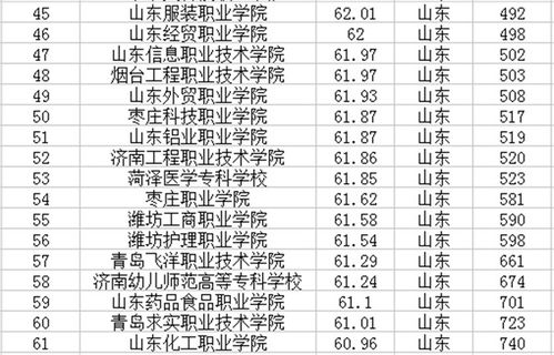 山东专科学校排名及分数线