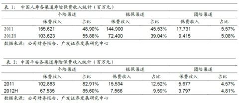 中国人寿保险股份有限公司的投资渠道有哪些