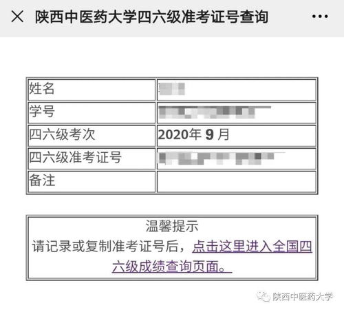 cet4准考证号查询,四级的准考证号在哪里查(图1)