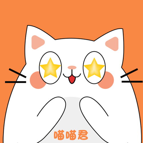 阿呆猫 头像 