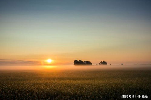 外热内冷,戒备心很强的白羊座,警惕性很高,不轻易信人