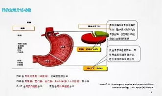 7.23可以拒绝胃镜检查吗 查了胃功能三项再说