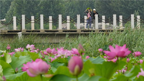 河北唐山滦州市榛子镇