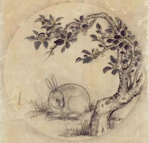 中秋说 兔 古代的兔子,竟然有那么多稀奇古怪的传说