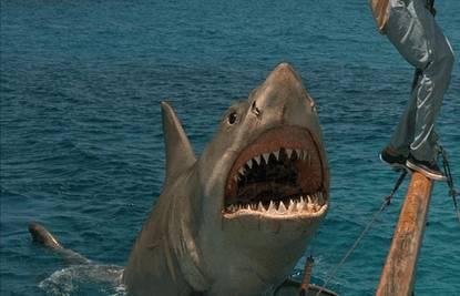 这部大片污名化了鲨鱼的形象, 大白鲨 系列四集电影历史分析