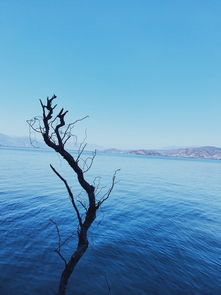  什么是大理洱海双廊旅游？