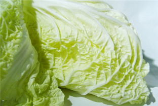 白菜怎么吃能治疗口腔溃疡,口腔溃疡吃什么蔬菜能治好?