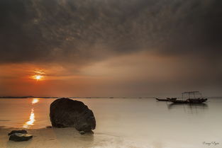 海日生残夜,江春入旧年表达的情感