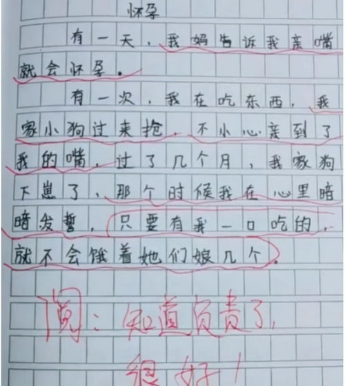 小学作文600字普通篇