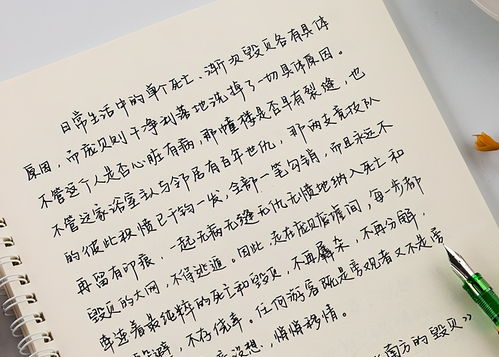 比 奶酪字体 更流行的 鲸落字体 ,风格独特,老师舍不得扣分