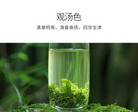 绿茶的功效那么多,你确定不来一杯么 