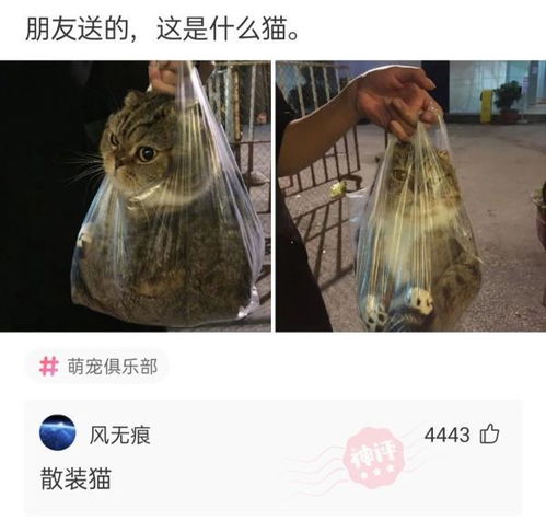 神回复 为什么有女的跟我说话我感觉就是看上我了,为什么我会有这种感觉