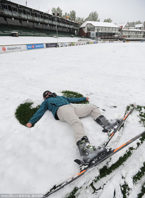 加拿大天气异常夏日大雪纷飞 