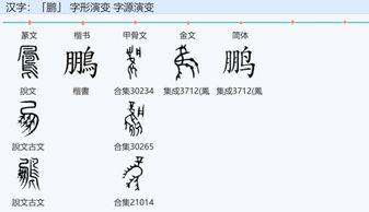 鹏字在古代称为什么名字 