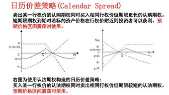 期权的投资策略有什么