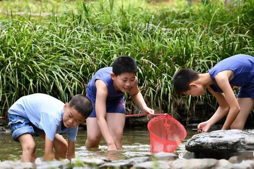 等了一年 小战神军旅夏令营终于开放报名了