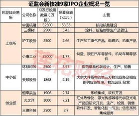 2021年第二批9只新股公布 新股影子股有哪些