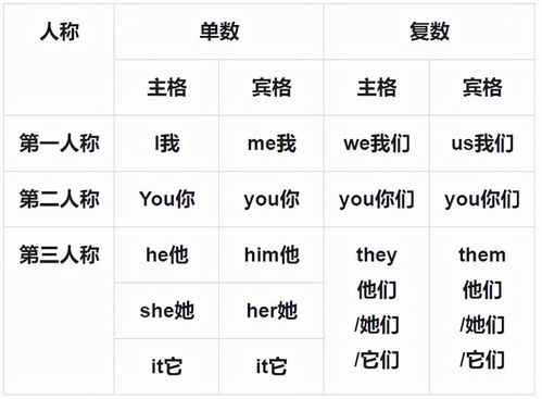中文中的代词是什么意思