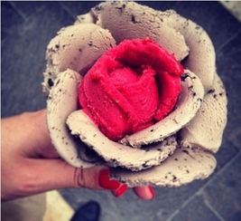 美图 花朵冰淇淋 情感意境 美食 花 玫瑰花 
