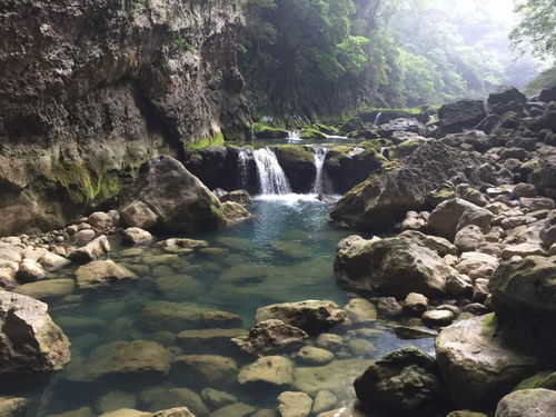 10平方鱼塘怎么挖(十几平方的水塘怎么建)