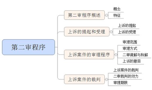 第二审程序的大纲解读及考查重点