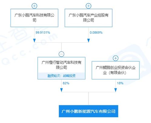 控股公司经营范围