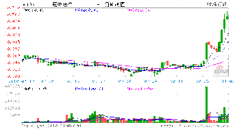 最新版股票网上配售有什么条件?