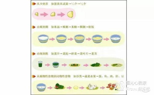 辅食黑名单上榜前十四名,一岁以内小宝宝尽量别碰,新手妈妈谨记