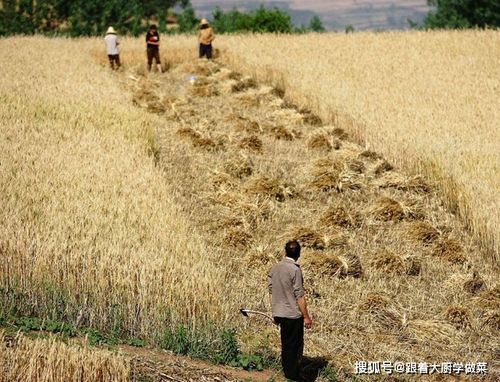 查重率太低？试试这些方法