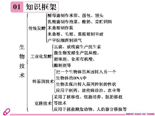 生物科学与生物技术是干什末的