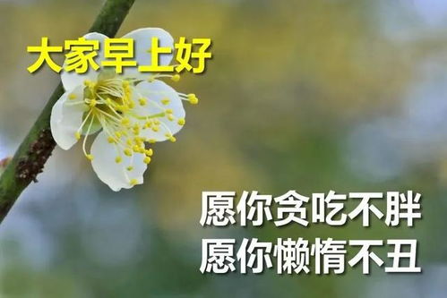 祝福朋友幸福的句子经典语录