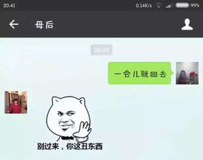 母亲与儿子微信聊天记录曝光,无语了... 