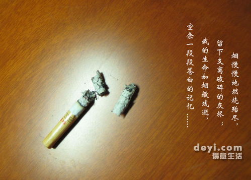 吸的是烟 抽的是寂寞