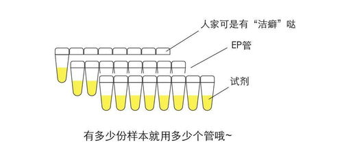 揪出病毒 核酸检测大揭秘,看完后请耐心等报告