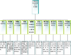 这种图叫什么名字啊 