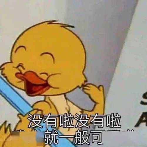 生日月 射手座积极向阳,闪闪惹人爱