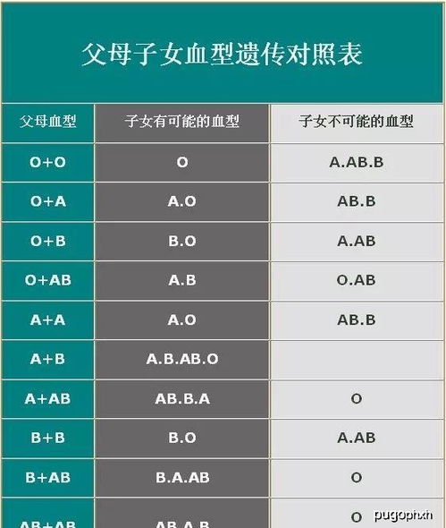 差点离婚 O型血爸爸和A型血妈妈生出B型血宝宝,医院鉴定结果却出人意料