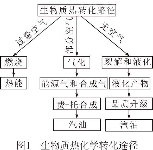 什么是生物质能?生物质能的转化与利用有哪些途径