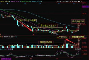 有个叫股市冲锋号的说可以预测股票不知道是不是真的